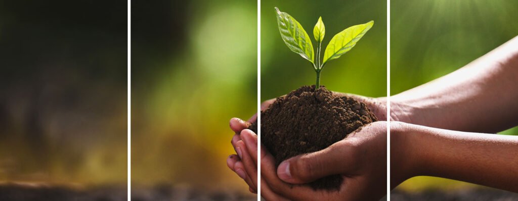 What we do at Vidaterra regenerating land