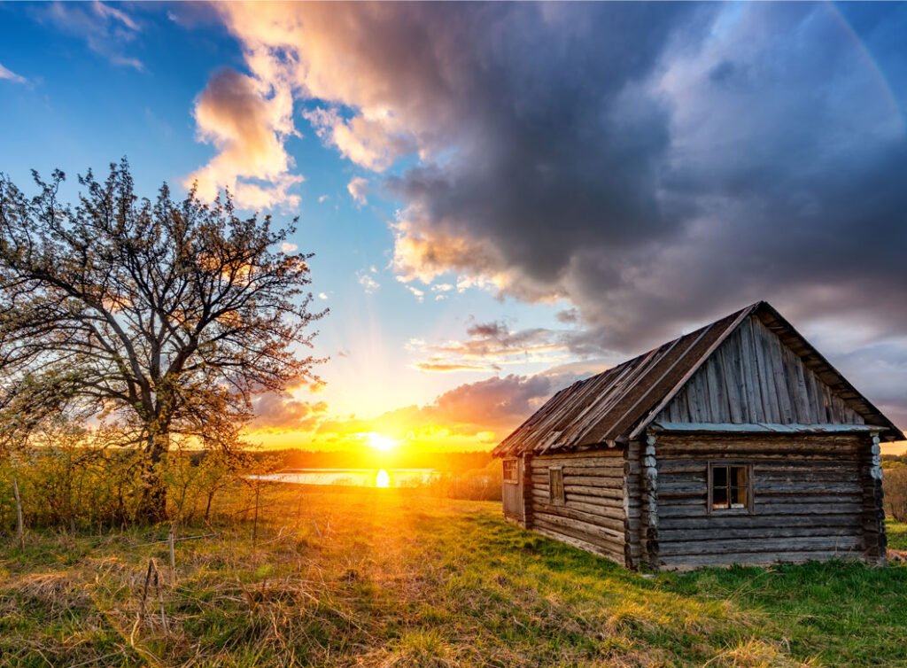 Land regeneration projects - the cabin at Wish You Were Here Farm