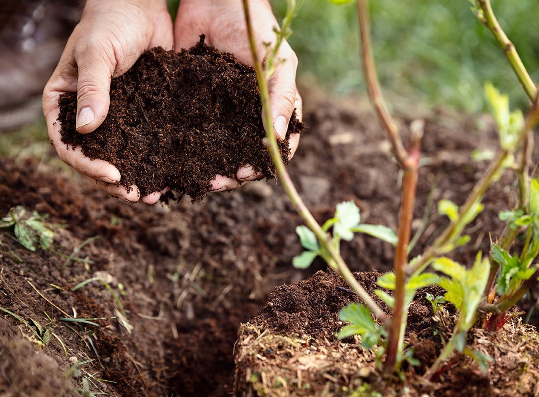 The Soil Health Plan